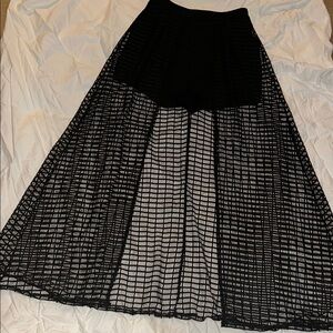 Hera Collection Black Sheer Grid overlay with under shorts